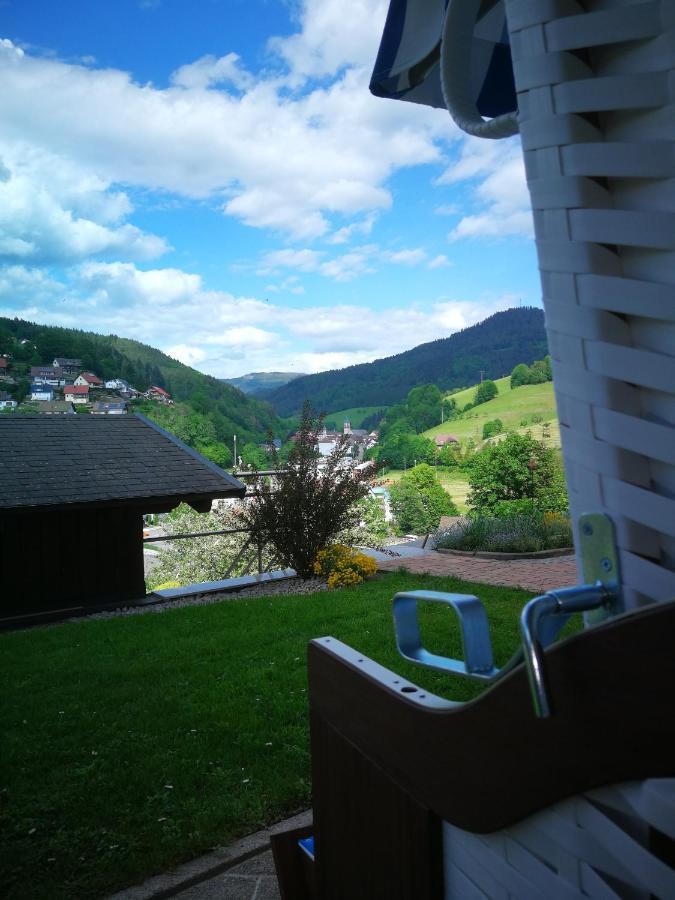 Ferienwohnung Schwarzwaldsteig Бад Петерстал-Грисбах Екстериор снимка